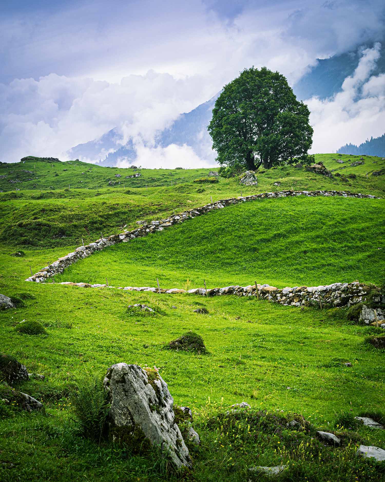 picture of landscape in braunwald switzerland