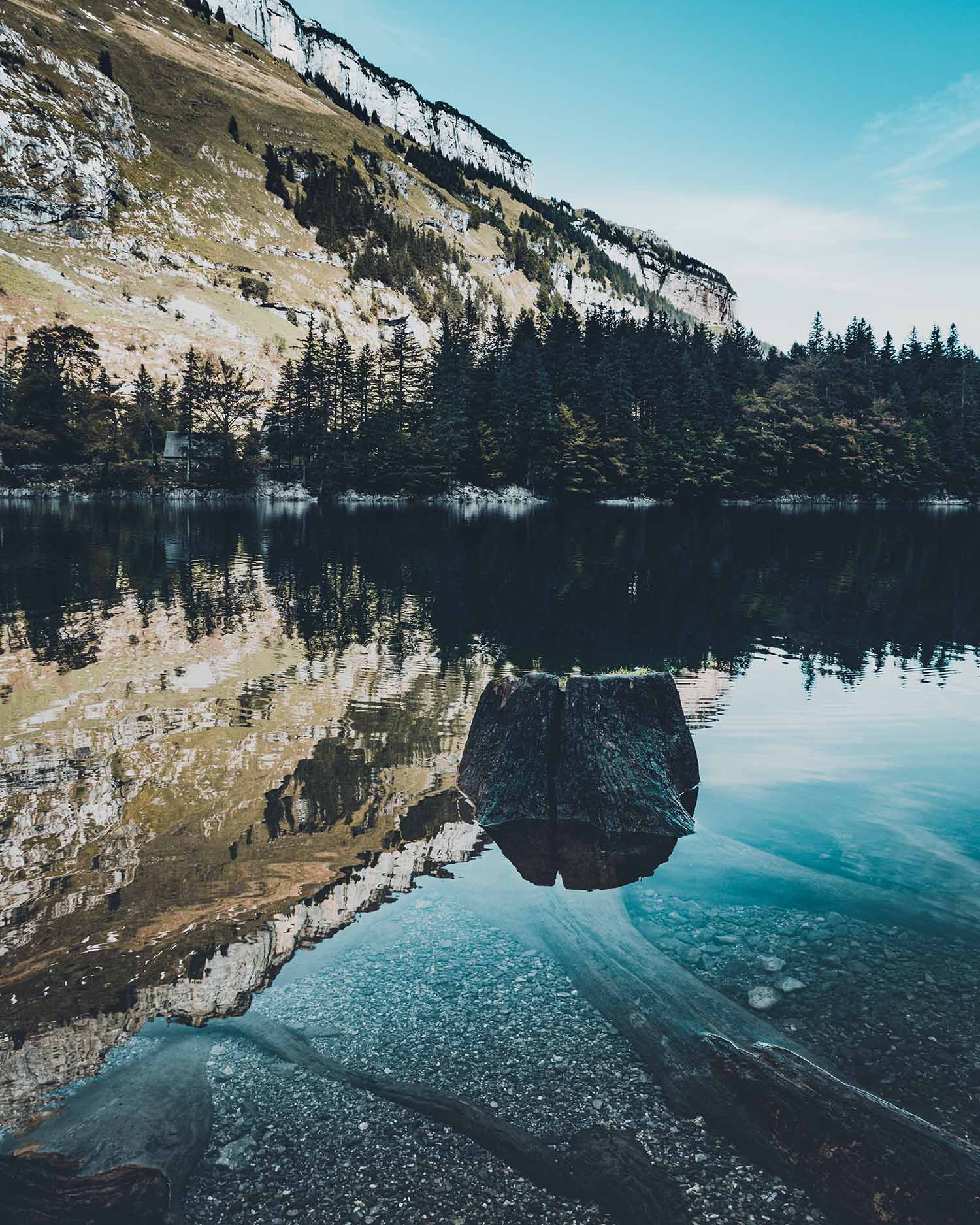 picture of swiss lake seealpsee with tree stump and reflection